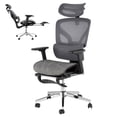 thumbnail image 1 of 3Rd Gen Ergonomic High Back Mesh Office Chair with Footrest, 4d Adjustable Armrests & Dynamic Lumbar Support, Reclining Tilt Function Rolling Casters Desk Chair for Home Office, Grey, 1 of 9