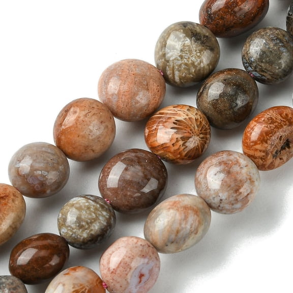 3Strand Natural Fossil Coral Beads Strands Oval Tumbled Stone 12~16.5x12~13x11~13mm Hole: 1.2mm about 28~29pcs/strand 15.55~15.75 inch(39.5~40cm)