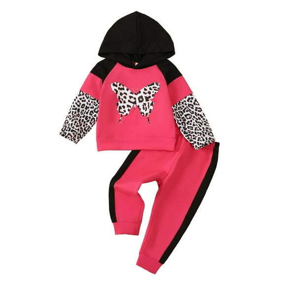 3T Baby Girls Clothes 4T Girls 2PCS Fall Winter Hoodie Outfits Set Butterfly Print Toddler Girls Long Sleeve Top Pants Set Pink