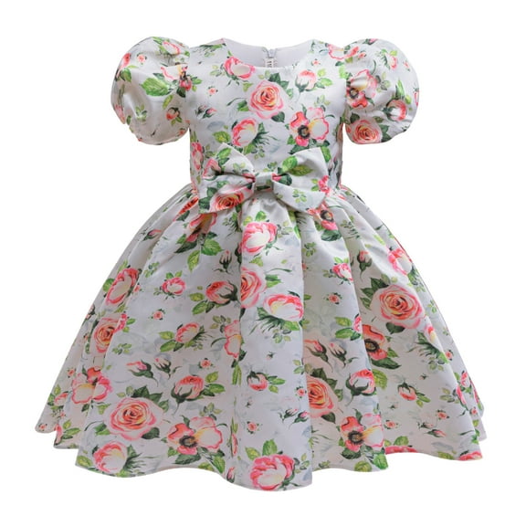 3T Baby Girls Dress Toddler Girls Princess Dress Floral Party Dress 4T Girls Bubble Sleeve Bowknot Dress Multicolor