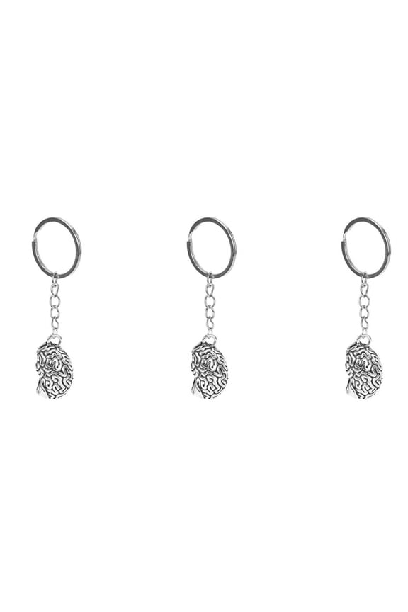 3X Brain Keychain Alloy Smart IQ Key Ring Fob Chain Medicine Human,3 * Brain Keychain,Silver