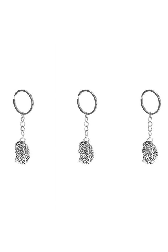 3X Brain Keychain Alloy Smart IQ Key Ring Fob Chain Medicine Human
