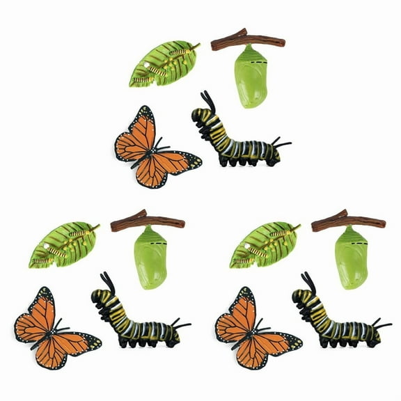3X Simulation Life Cycle Figurine of A Butterfly Growth Cycle Insect Animals Educational Biology Science Toy