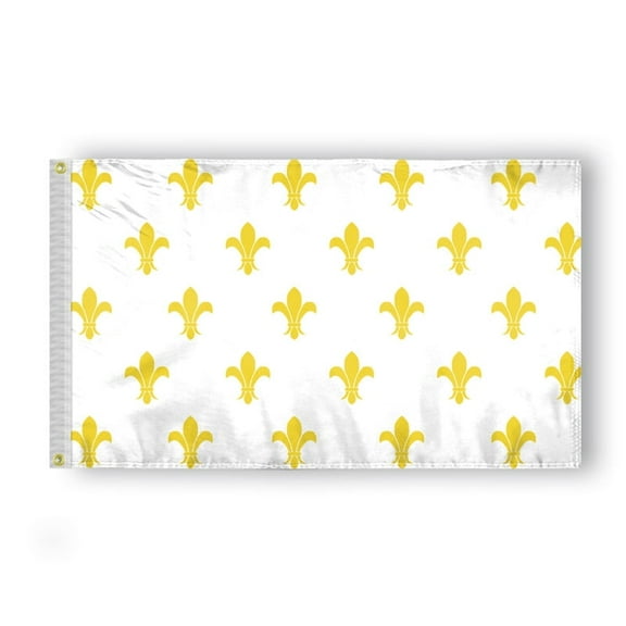 3X5 Ft France Gold Fleur de Lis Colonial American Revolution History Flags - Printed 200D Nylon with Brass Grommets - French Royal France Flags