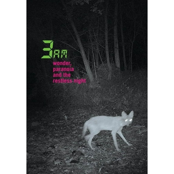 3am: Wonder, Paranoia and the Restless Night (Paperback)