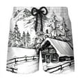 3d Art Painting Print Short Pants For Men Women Swim Trunks Swimwear ...