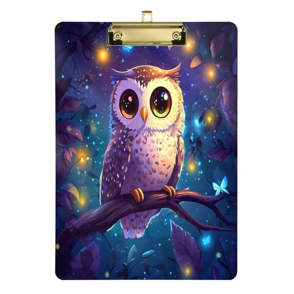 3d Cartoon Style Owl 12.5x9in Clipboard, Durable Acrylic with Metal Clip and Wall Hook for Office or Classroom