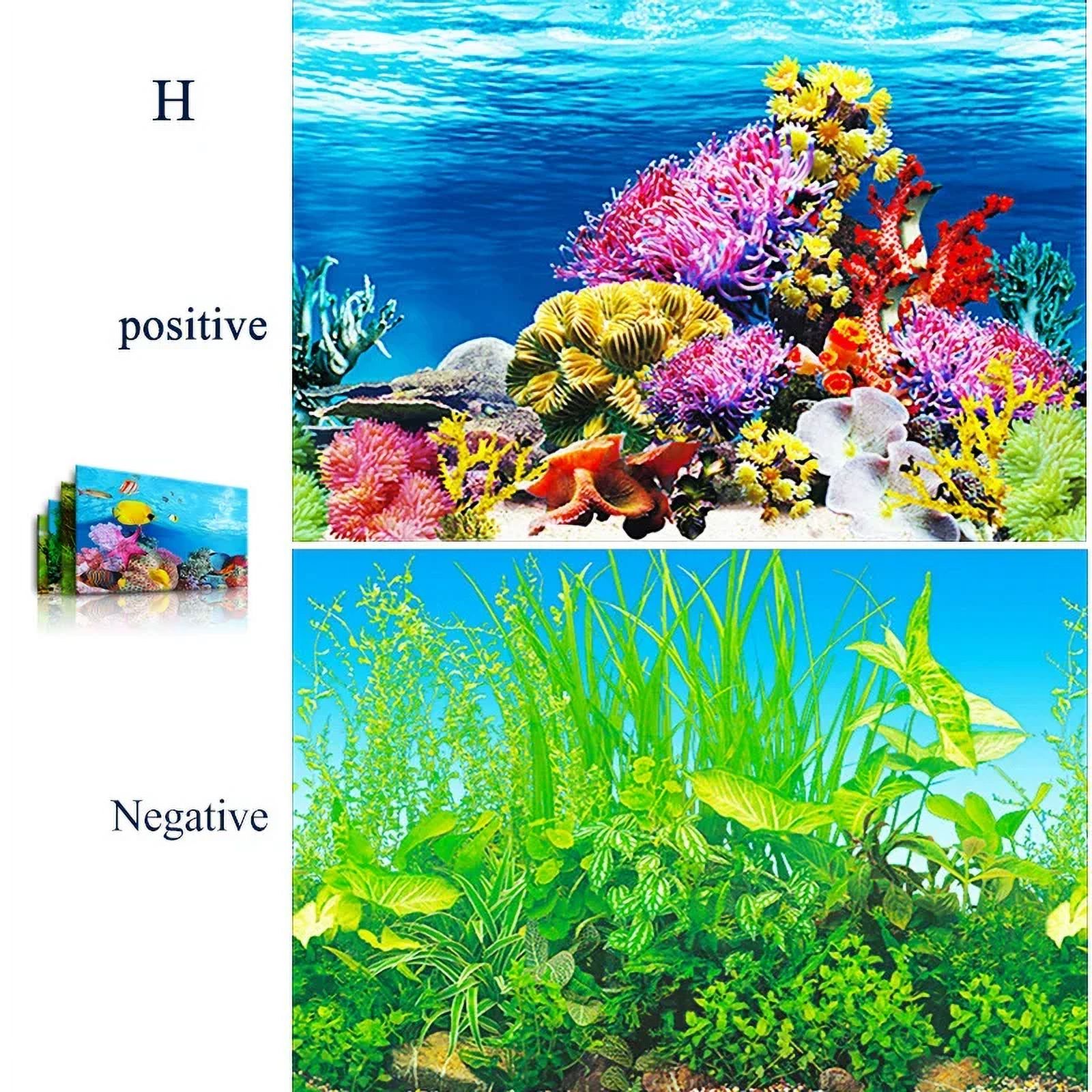 3d Marine Background for Aquarium Decorations Stickers & Poster Goods Decoration Fish Tanks and