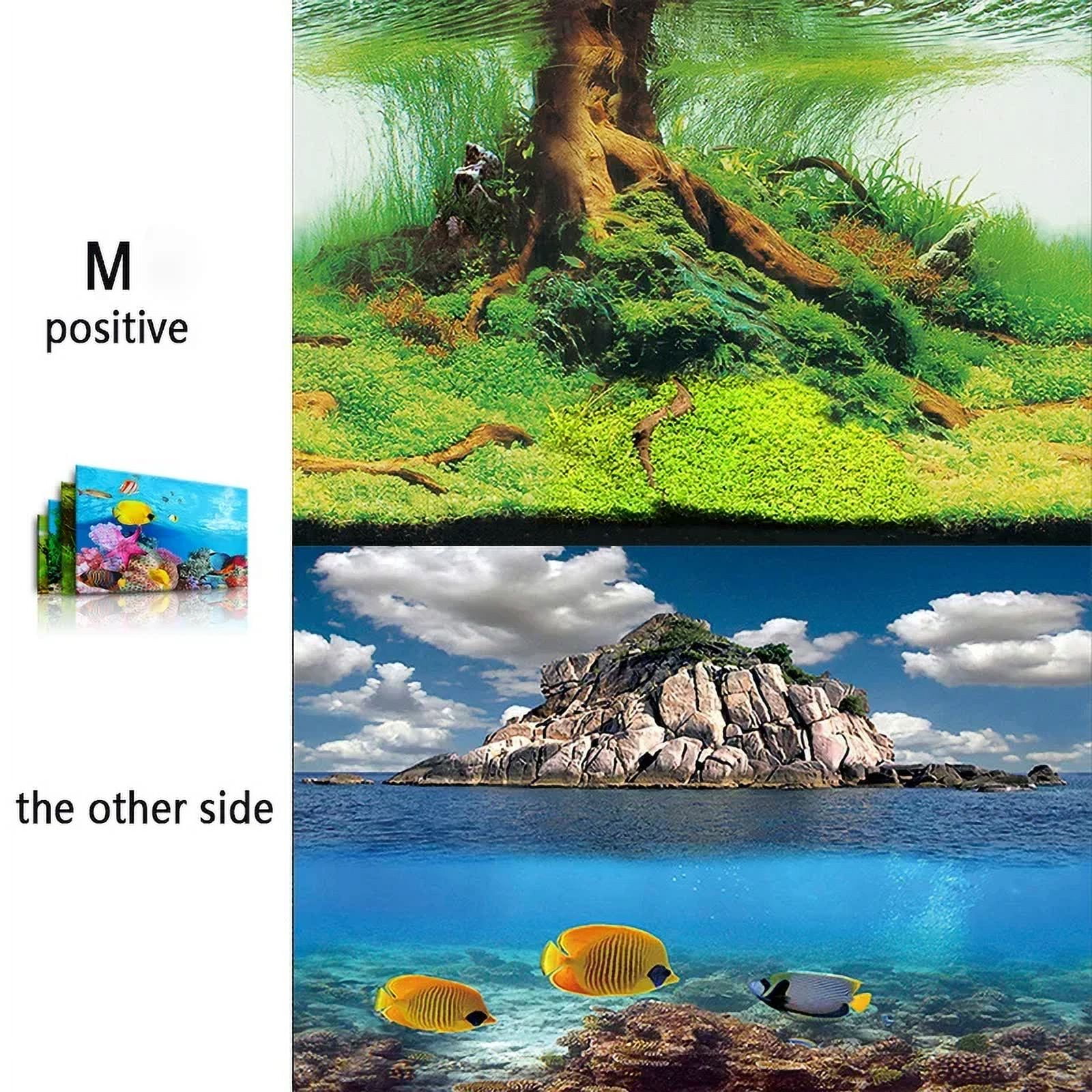 3d Marine Background for Aquarium Decorations Stickers & Poster Goods