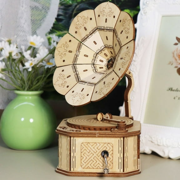 Music Park 3D Wooden Puzzle Phonograph Music Box You Are My Sunshine Handmade Assembly Model kit DIY Crafts Holidays Birthdays gifts