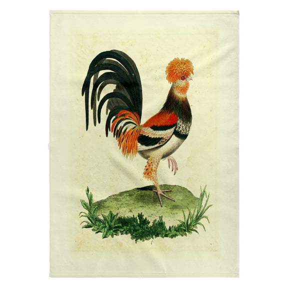 3dRose, 1770 French Vintage Rooster Print, 22x30 Bath Hand Pool Towel