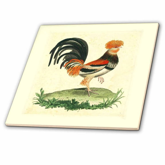 3dRose, 1770 French Vintage Rooster Print, 6 Inch Ceramic Tile