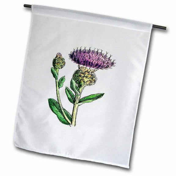 3dRose, 1859 Image of A Vintage Thistle, 12 x 18 inch Garden Flag