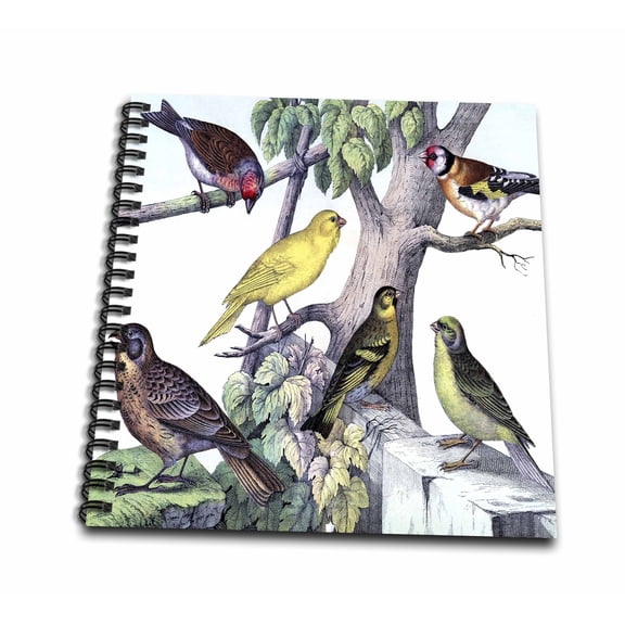 3dRose, 1879 Natural History Print Of 6 Birds On A Tree, Drawing Book 8 x 8 inch