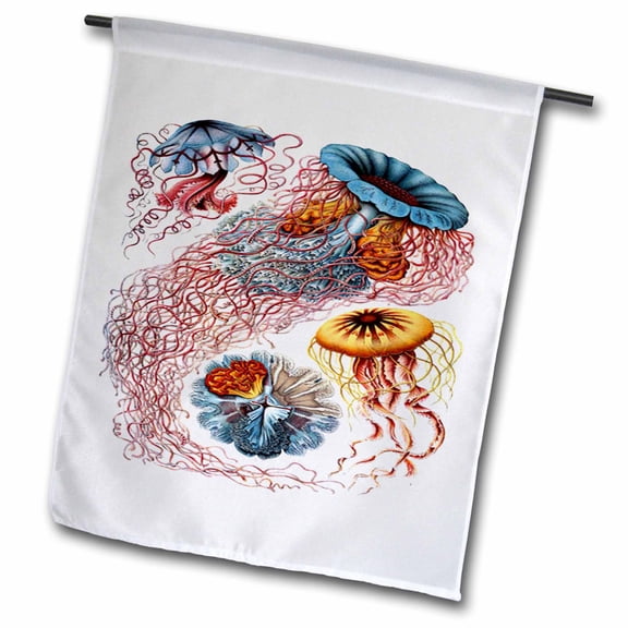 3dRose, 1904 German Biologist Vintage Drawings Of Jellyfish, 12 x 18 inch Garden Flag