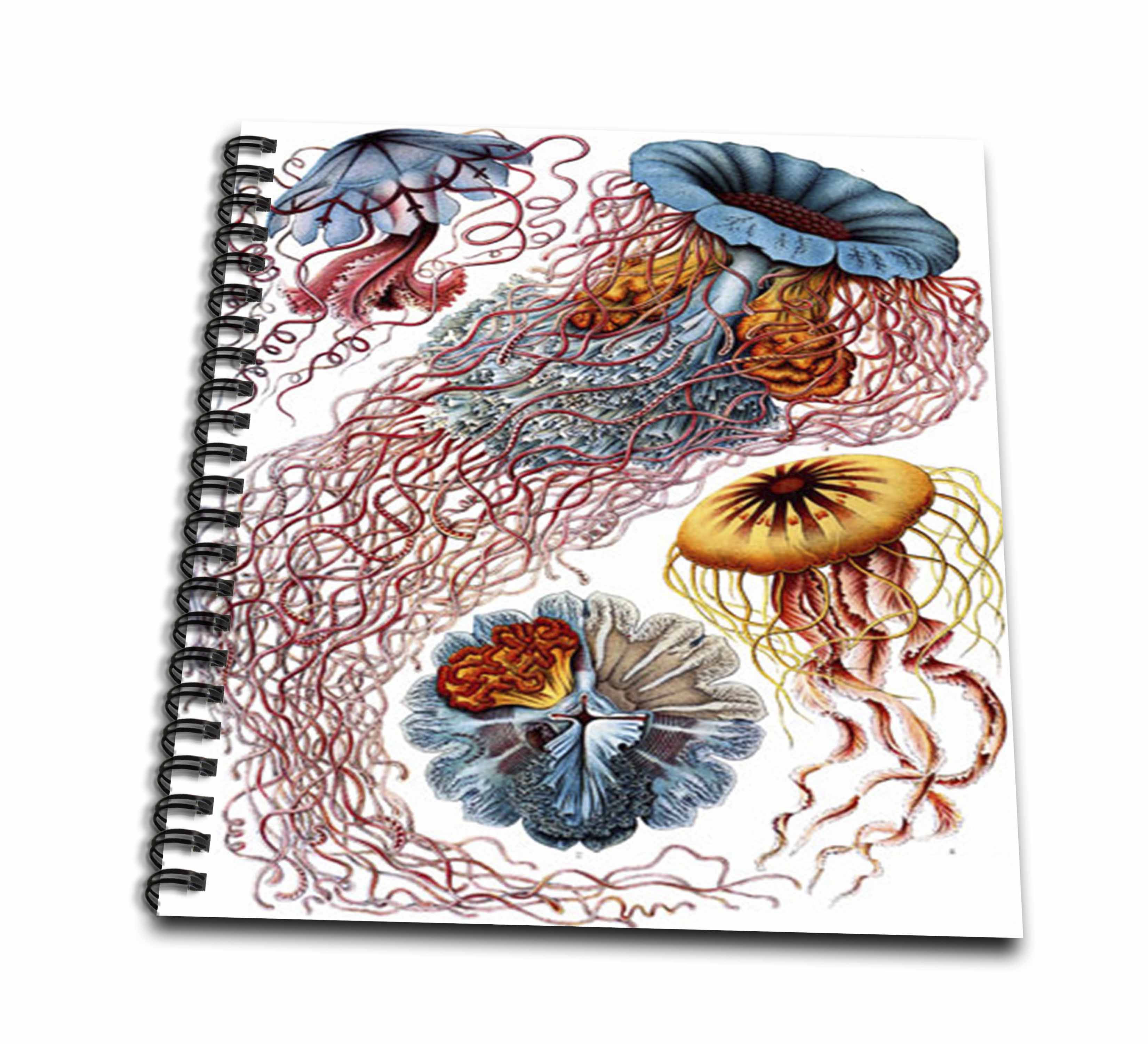 3dRose, 1904 German Biologist Vintage Drawings Of Jellyfish, Memory Book 12 x 12 inch
