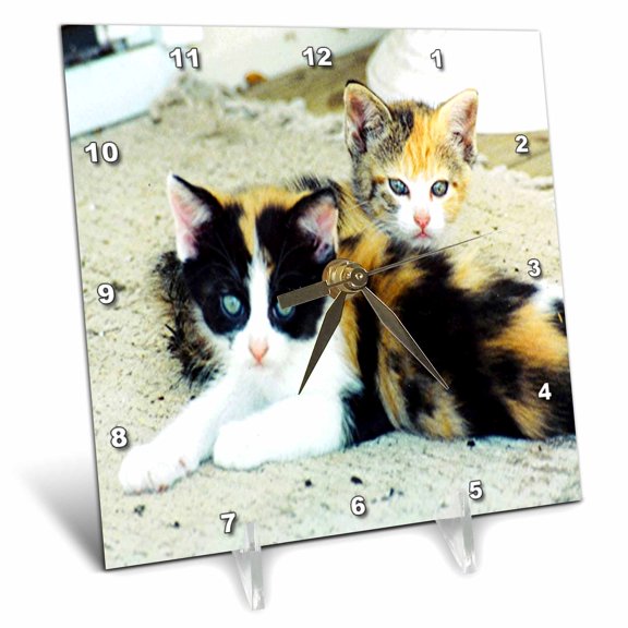 3dRose, 2 Adorable Calico Kittens, 6x6 Desk Clock