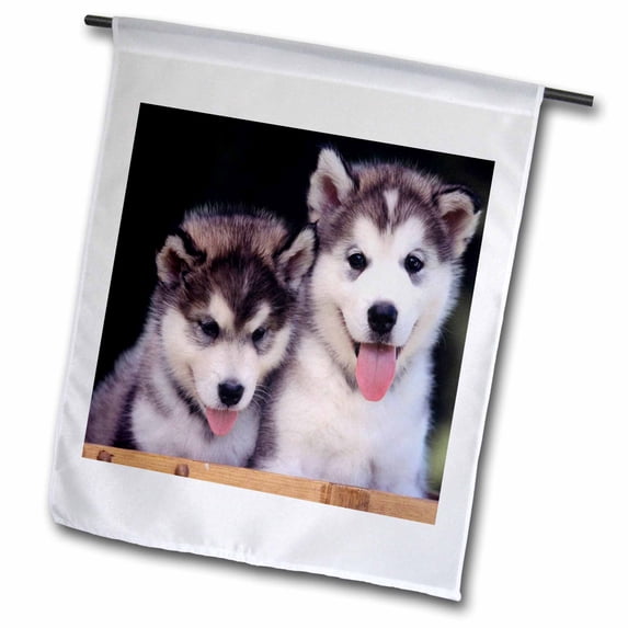3dRose, 2 Alaskan Malamute Puppies, 18 x 27 inch Garden Flag