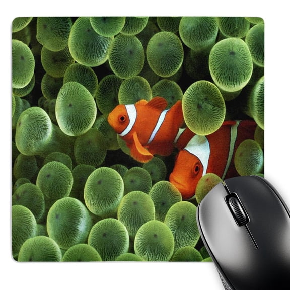 3dRose, 2 Clown Fish Among Green Sponge, MousePad