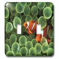 thumbnail image 1 of 3dRose, 2 Clown Fish Among Green Sponge, double toggle switch, 1 of 1