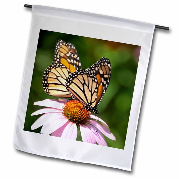 3dRose, 2 monarch butterflies on cone flower, 12 x 18 inch Garden Flag