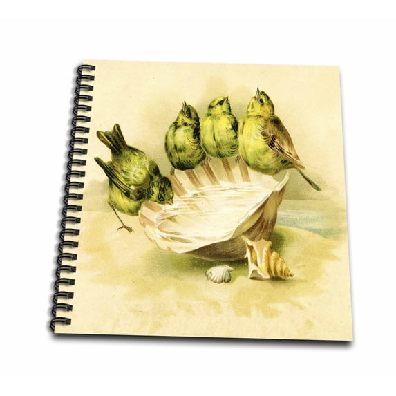 3dRose, 4 Victorian Birds On A Seashell, Memory Book 12 x 12 inch