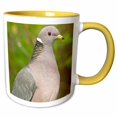 thumbnail image 1 of 3drose, a Band-tailed Pigeon, Bird - Na02 Rbr0000 - Rick A. Brown, 15oz Two-tone Yellow Mug, 1 of 6
