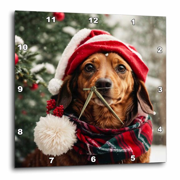 3drose, a Dachsund Wearing a Santa Hat and Scarf, 15x15 Wall Clock