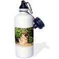 thumbnail image 1 of 3dRose, A German Shepherd dog by greenery - NA02 ZMU0150 - Zandria Muench Beraldo, Flip Straw 21oz Water Bottle, 1 of 3