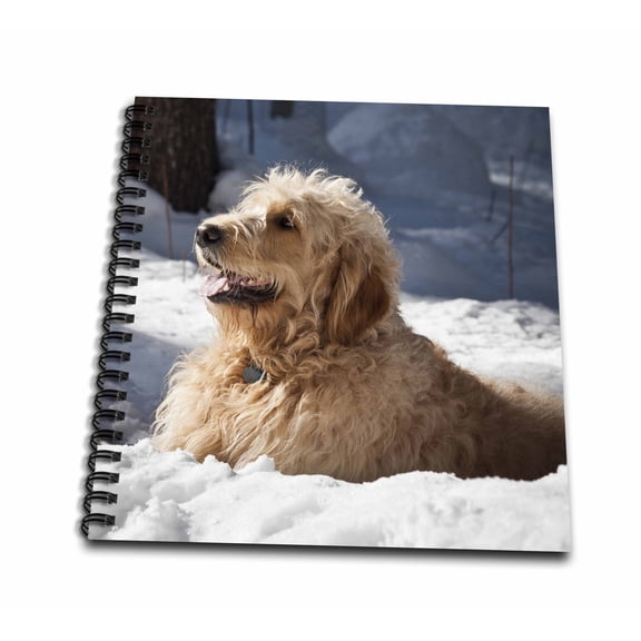 3dRose, A Goldendoodle dog in the snow - US32 ZMU0065 - Zandria Muench Beraldo, Mini Notepad 4 x 4 inch
