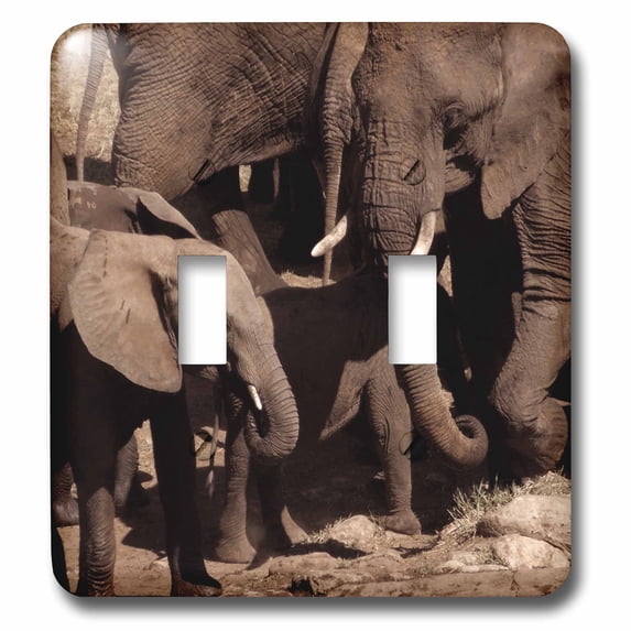 3dRose, A Gorgeous Elephant Family with Two Little Elephants, double toggle switch