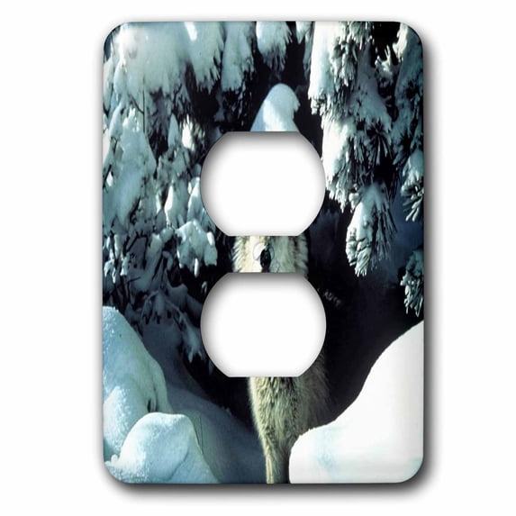 3dRose, A Gray Wolf In The Snow, 2 plug outlet cover