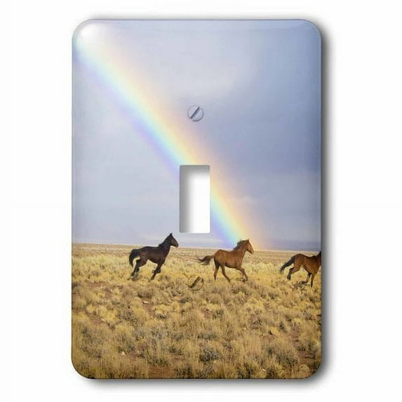 3dRose, A Group Of Wild Horses Running In The Valley Rainbow Sky Animal Horses, single toggle switch