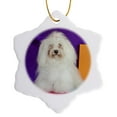 thumbnail image 1 of 3drose, a Havanese Dog - Us05 Zmu0276 - Zandria Muench Beraldo, 3 inch Snowflake Porcelain Ornament, 1 of 7