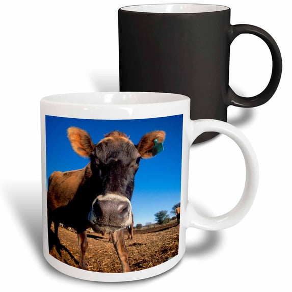 3drose, a Jersey Cow Being Inquisitive., 11oz Magic Transforming Mug