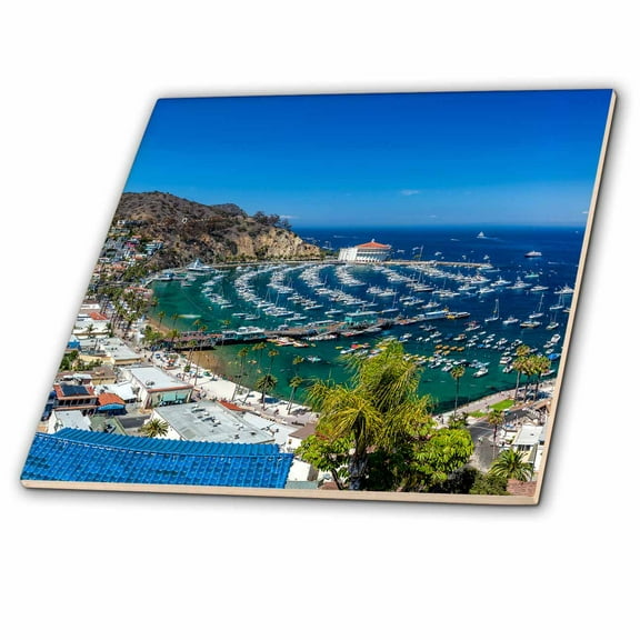 3dRose, A Panorama of Avalon on Catalina Island , 8 Inch Ceramic Tile