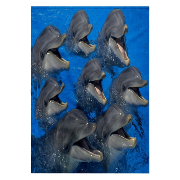 3dRose, A Pod Of Laughing Dolphins, 22x30 Bath Hand Pool Towel