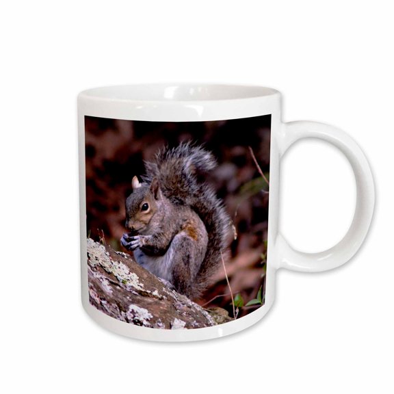 3drose, a Squirrel Enjoying His Meal a Squirrel Eating a Nut Ontop of a Rock, 11oz Mug