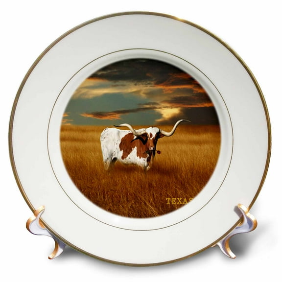 3dRose, A Texas Longhorn, 8 inch Porcelain Plate