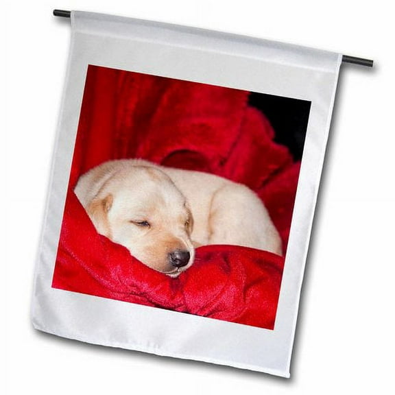 3dRose, A Yellow Labrador Retriever dog - NA02 ZMU0127 - Zandria Muench Beraldo, 12 x 18 inch Garden Flag