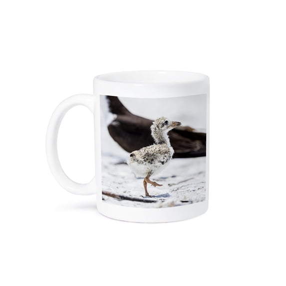 3drose, a Black Skimmer Chick Walking on the Hot Sand., 11oz Mug