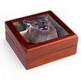 thumbnail image 1 of 3dRose, A cougar that looks like he is staring straight at you, Jewelry Box 5.5x5.5 inch with 4 inch tile, 1 of 8