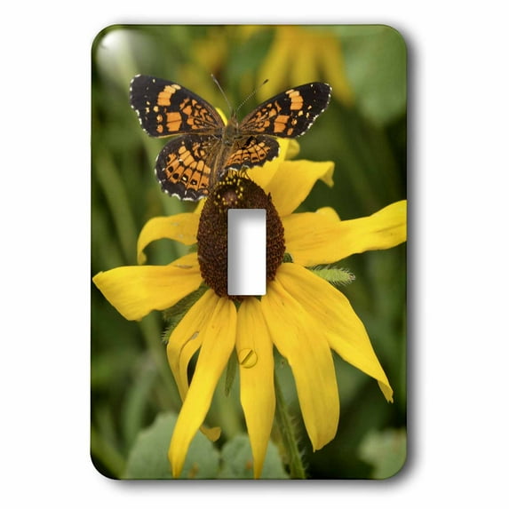 3dRose, A garden flower with a butterfly, single toggle switch