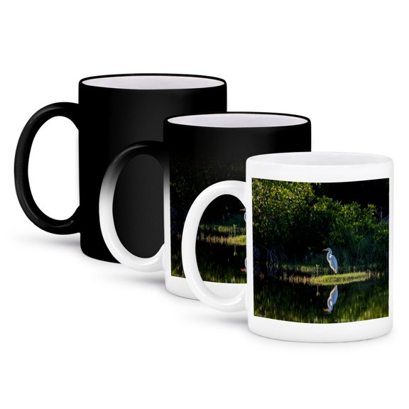 3drose, a Great Egret in a Marsh Surrounded by Mangrove Trees., 11oz Magic Transforming Mug