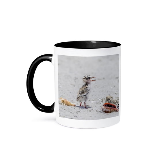 3drose, a Lone Least Tern Chick on a Nesting Beach., 11oz Two-tone Black Mug