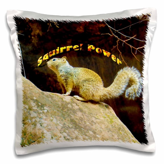 3dRose, A squirrel on top of a rock in Zion with Squirrel Power written above, 16x16 inch Pillow Case