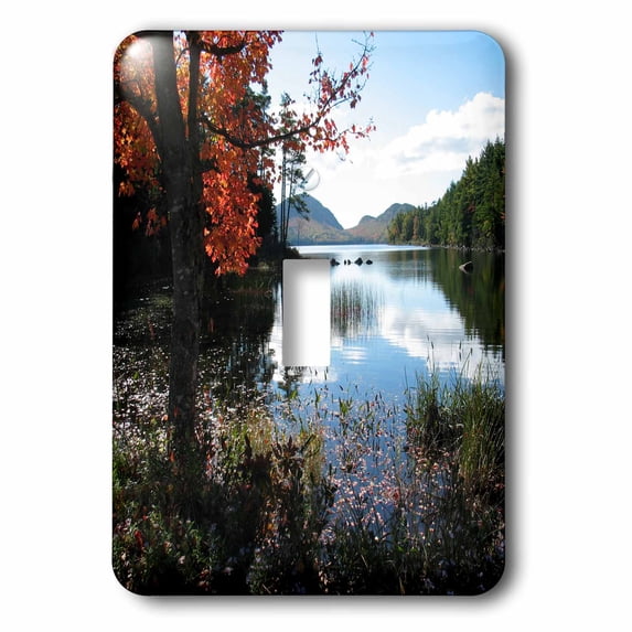 3dRose, Acadia National Park - Eagle Lake, single toggle switch