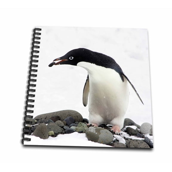 3dRose, Adelie Penguin, Paulet Island, Antarctic Peninsula - AN02 MGL0040 - Miva Stock, Mini Notepad 4 x 4 inch