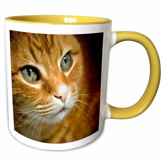3drose, Adorable Ginger Tabby Cat Posing, 15oz Two-tone Yellow Mug
