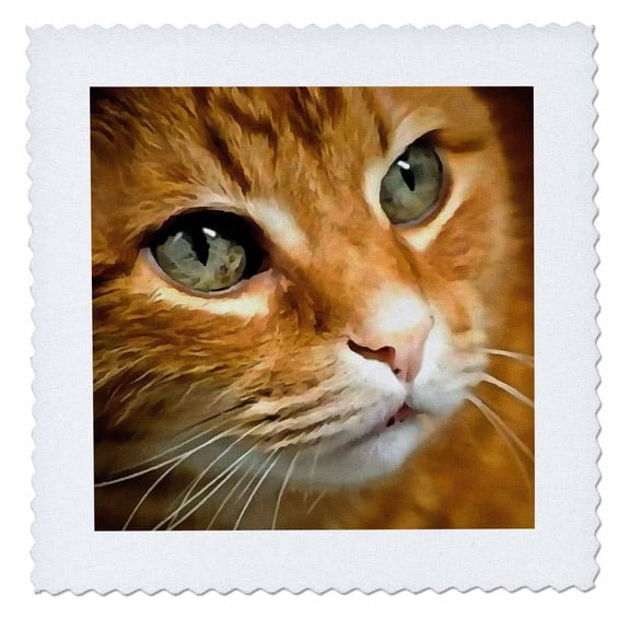 3dRose, Adorable Ginger Tabby Cat Posing Artistic Pet Portrait, 10x10 inch quilt square